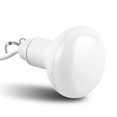 Color Warm White USB LED Light Bulbs 3000k - 6500k Color Temperature
